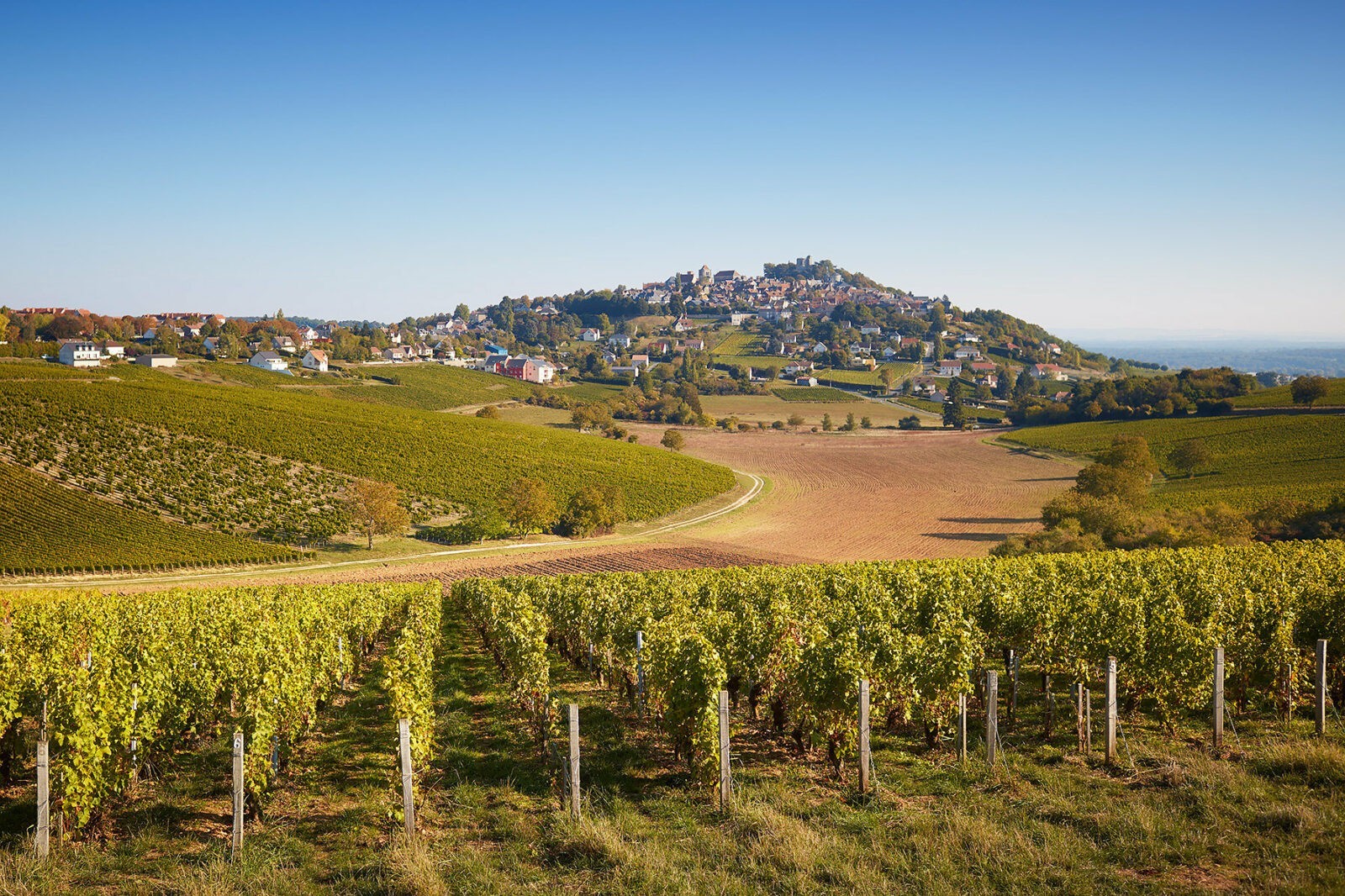 Domaine Vacheron