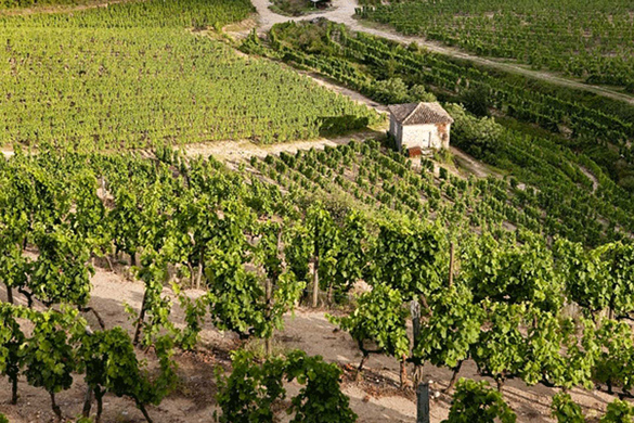 Domaine Bernard Gripa
