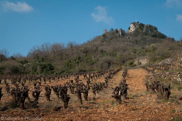 Mas Haut-Buis