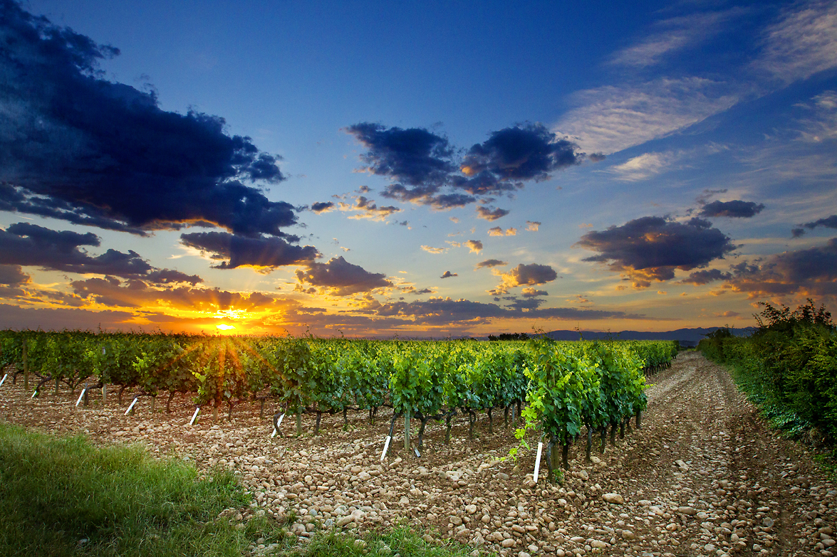 Domaine Combier