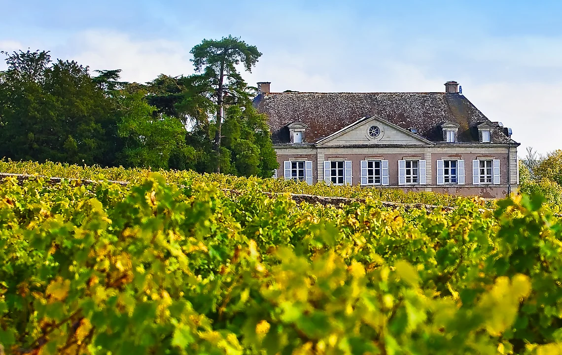 Nicolas Joly – Domaine de la Coulée de Serrant