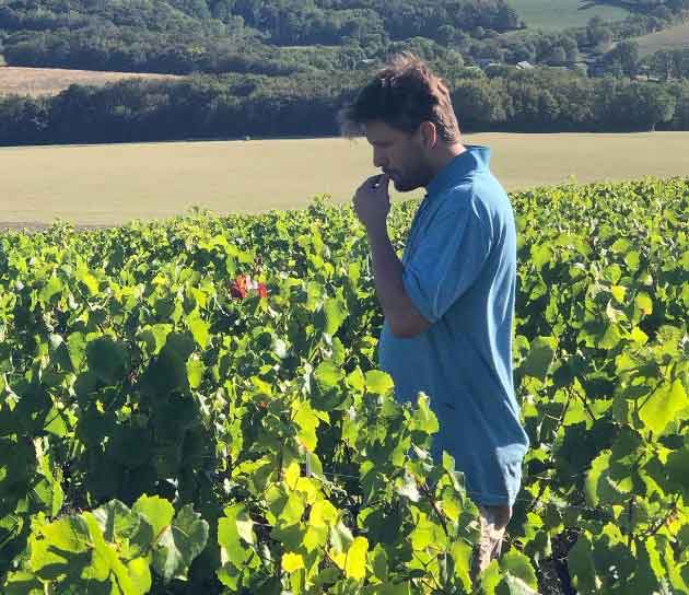 Domaine Joseph de Maistre — photo 1