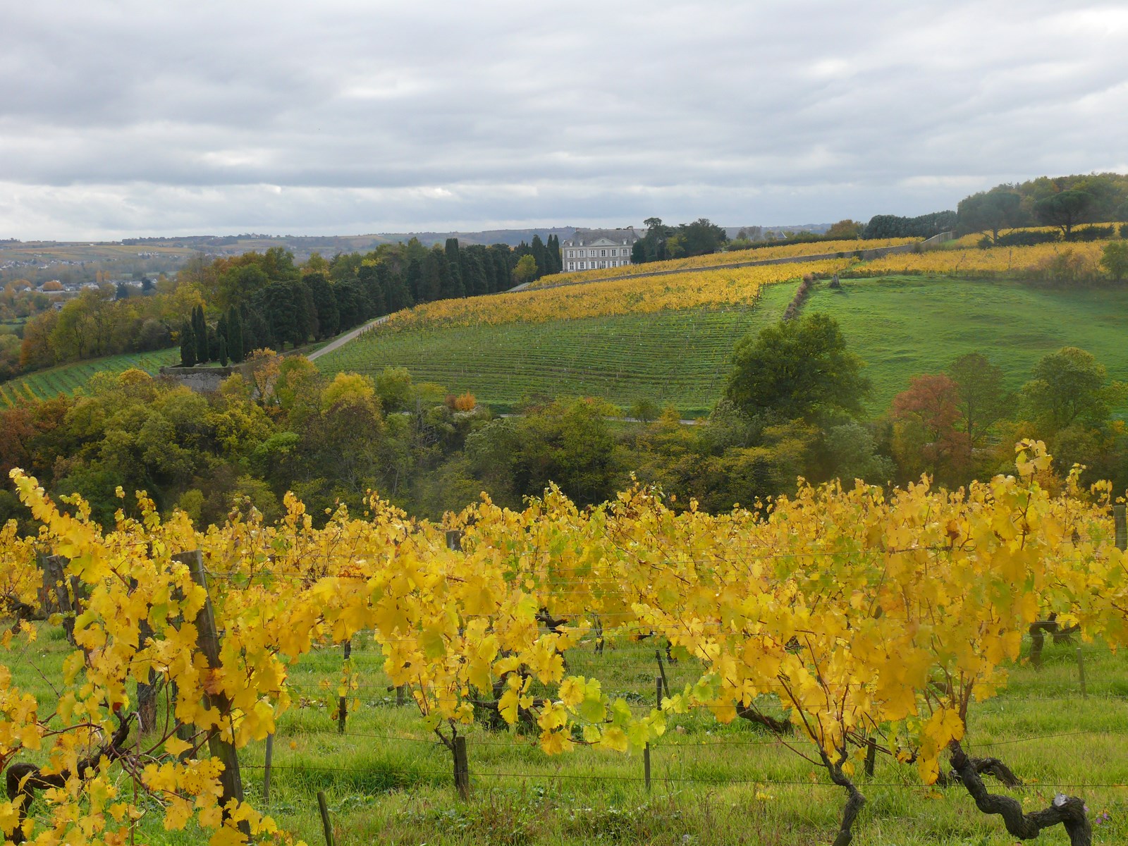 Nicolas Joly – Domaine de la Coulée de Serrant — photo 1