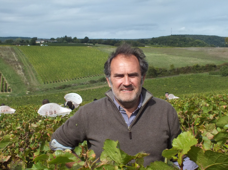 Domaine Minchin — photo 1