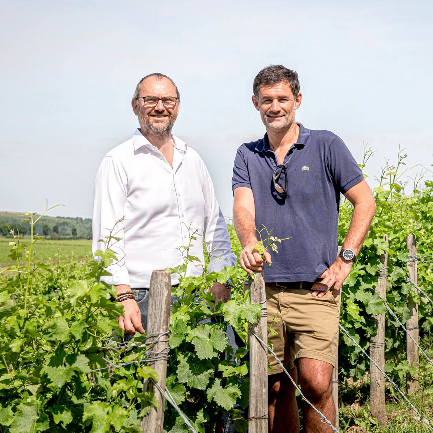 Domaine Vacheron — photo 1