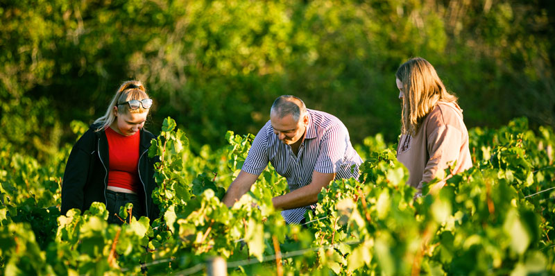 Domaine Ludovic Pierrot — photo 1