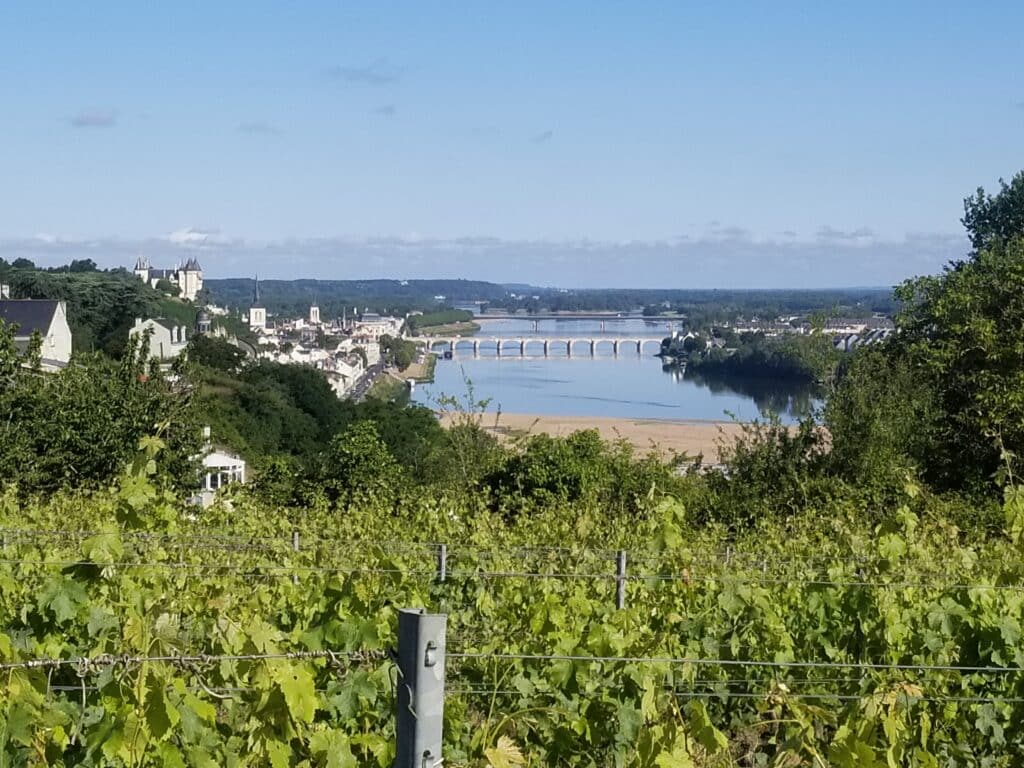 Domaine de La Seigneurie — photo 1