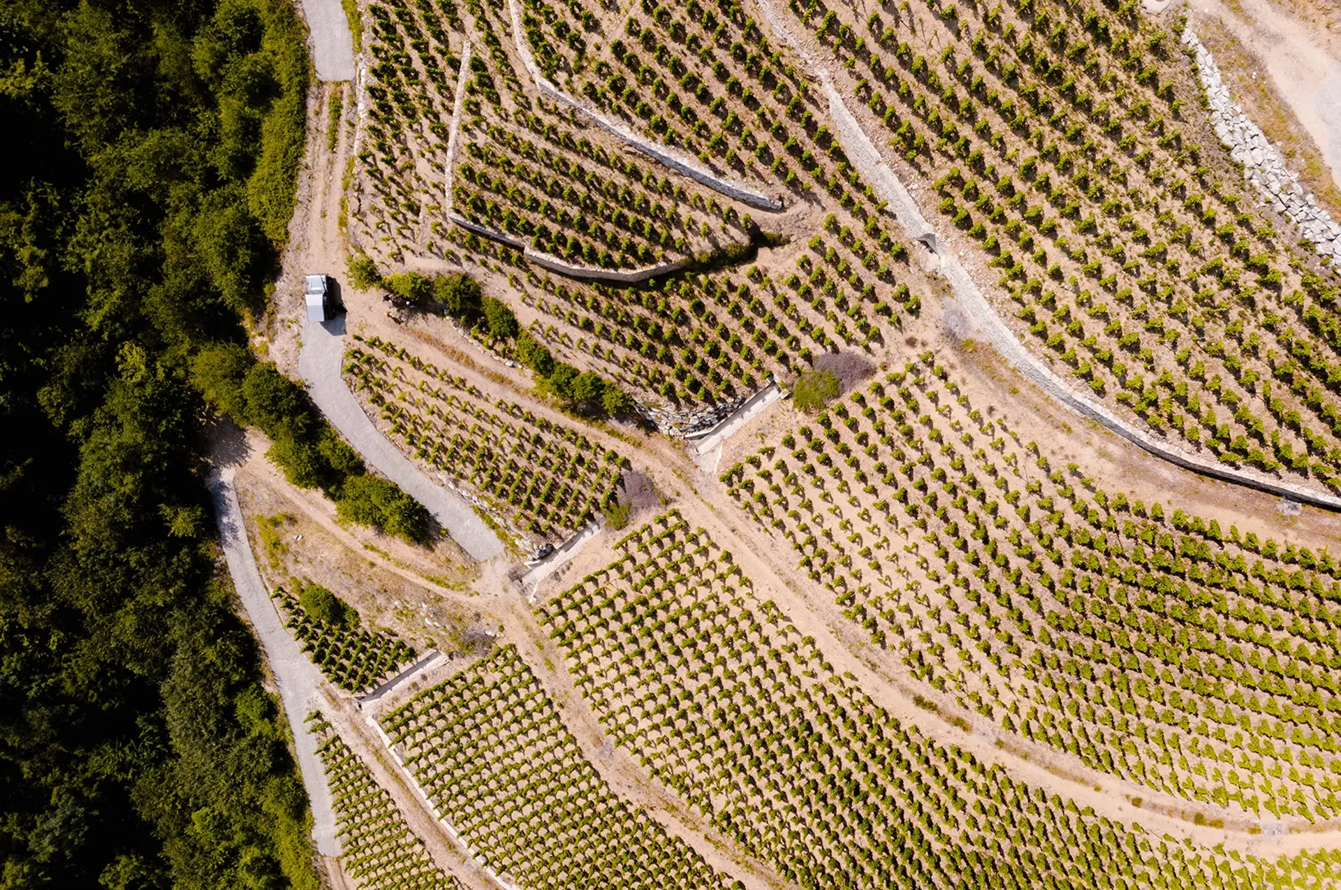 Domaine Jean-Michel Gerin — photo 1