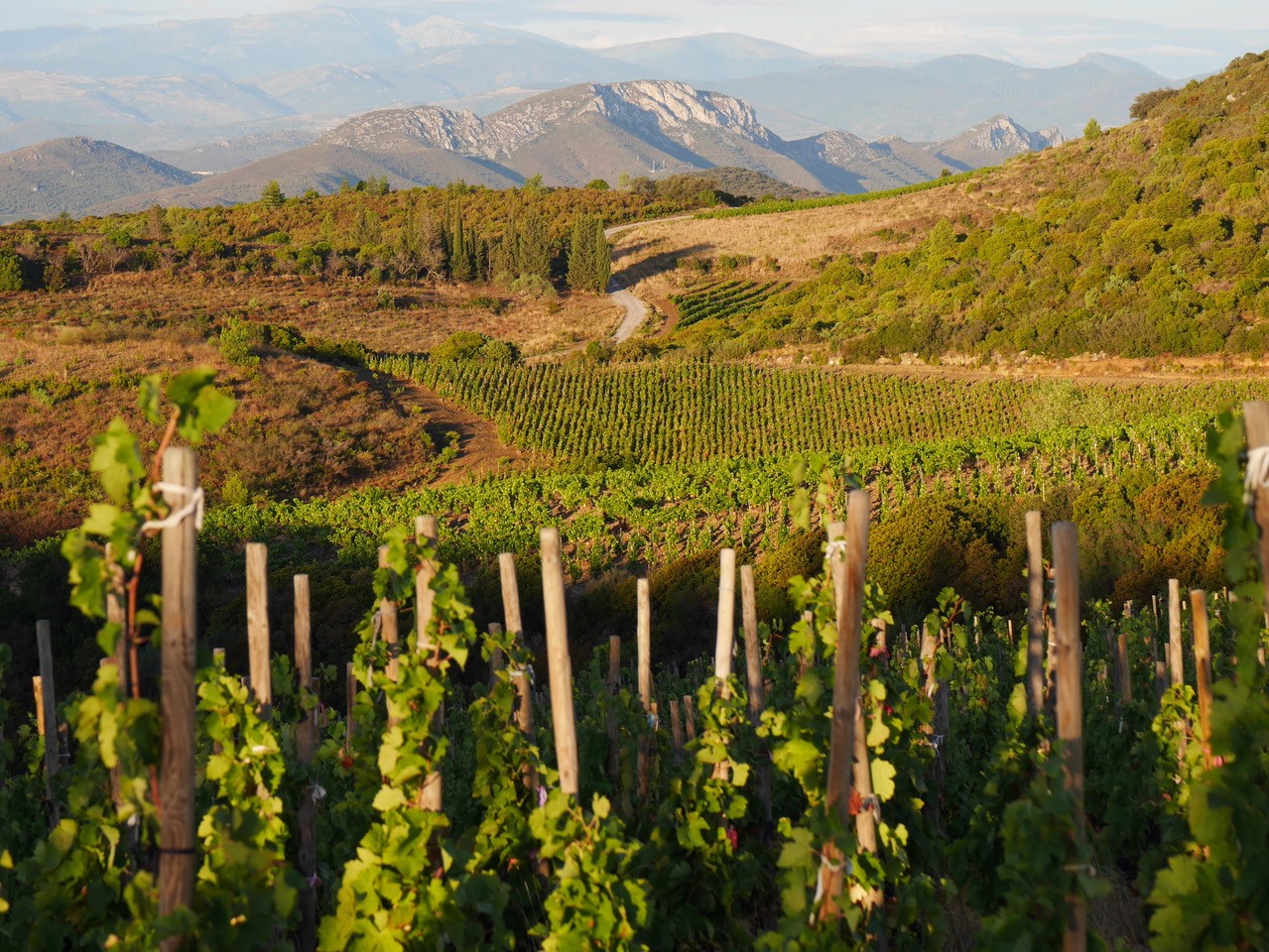 Le Clos des Fées