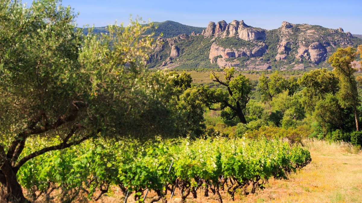Château du Rouët