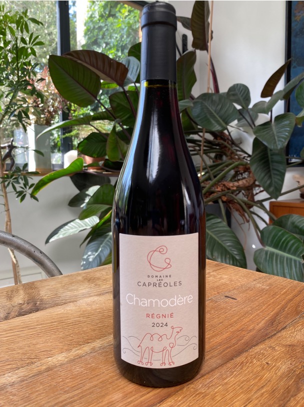 Chamodère